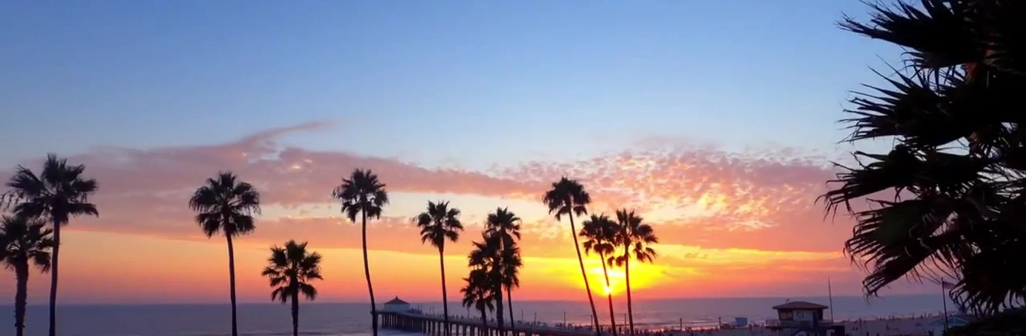 Sunset along the Manhattan Beach shoreline with palm trees